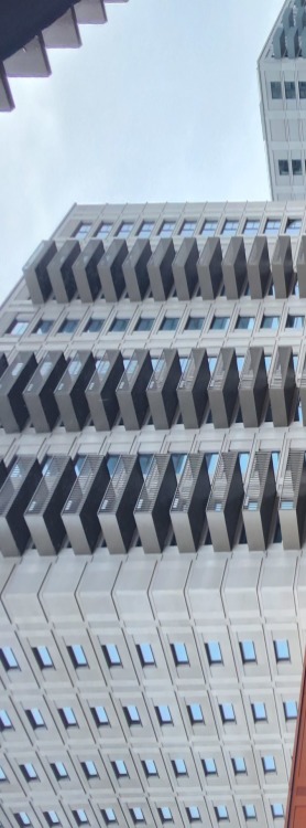 Will Wembley Wonder Win A Trophy?